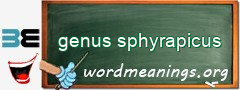 WordMeaning blackboard for genus sphyrapicus